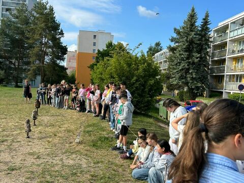Obrázek v galerii