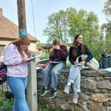 Obrázek v galerii