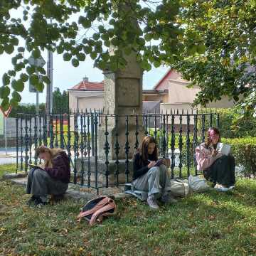Obrázek v galerii
