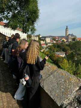 Obrázek v galerii
