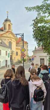 Obrázek v galerii