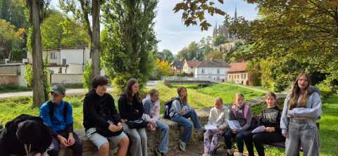 Obrázek v galerii
