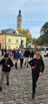 Obrázek v galerii