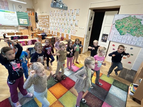 Obrázek v galerii