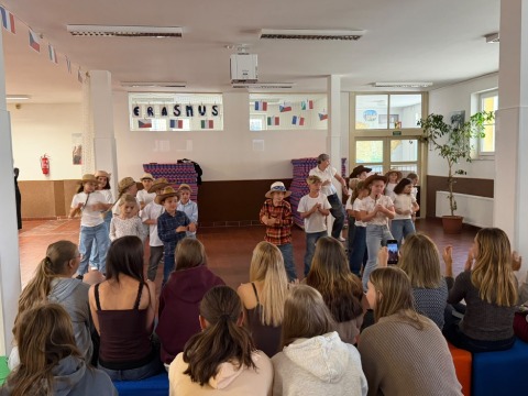 Obrázek v galerii