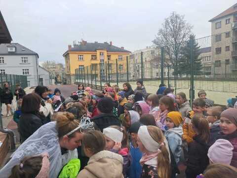 Obrázek v galerii