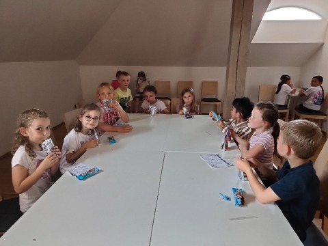 Obrázek v galerii