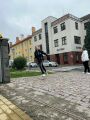 Obrázek v galerii