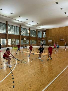 Obrázek v galerii