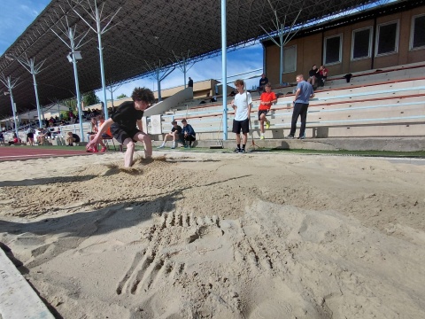 Obrázek v galerii