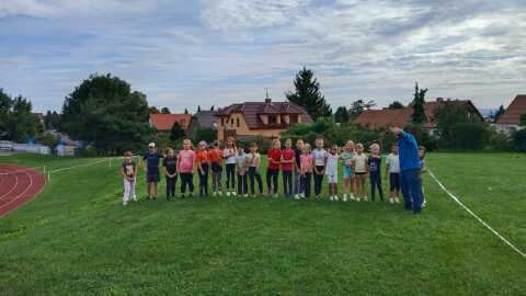 Obrázek v galerii