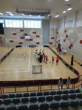 Obrázek v galerii
