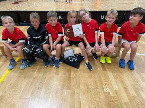 Obrázek v galerii