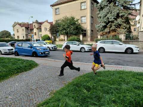 Obrázek v galerii