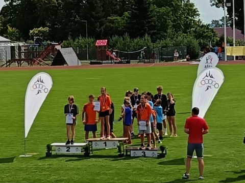 Obrázek v galerii