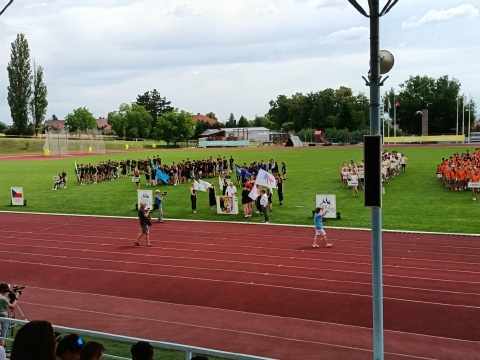 Obrázek v galerii