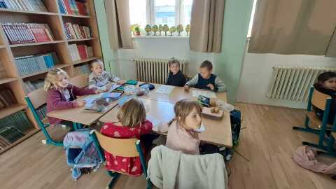 Obrázek v galerii