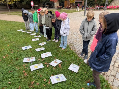 Obrázek v galerii