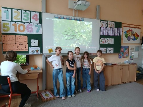 Obrázek v galerii