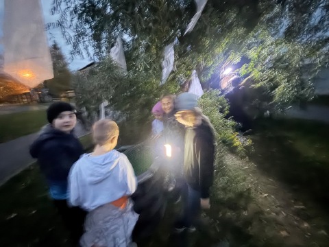Obrázek v galerii