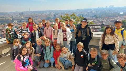Obrázek v galerii