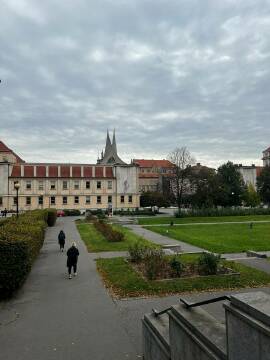 Obrázek v galerii