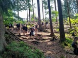Harrachov – závěr kurzu