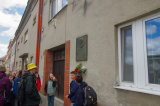 Obrázek v galerii