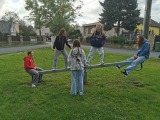 Obrázek v galerii