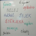 Obrázek v galerii