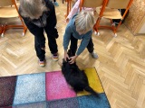 Obrázek v galerii