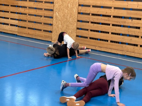 Obrázek v galerii