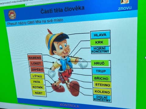 Obrázek v galerii