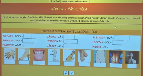Obrázek v galerii