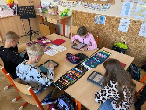 Obrázek v galerii
