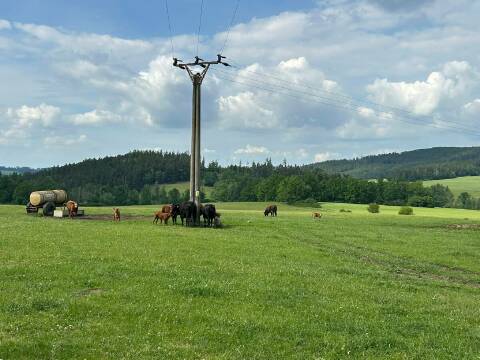 Obrázek v galerii