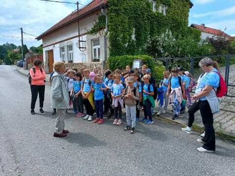 Obrázek v galerii
