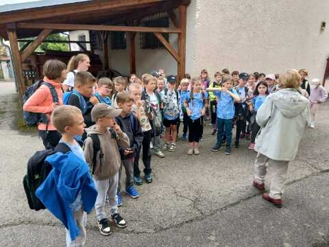 Obrázek v galerii