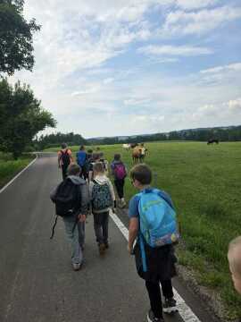 Obrázek v galerii