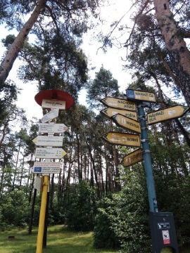 Obrázek v galerii