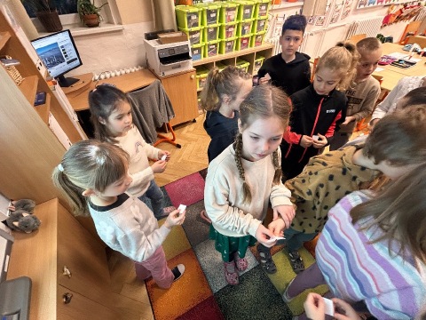 Obrázek v galerii