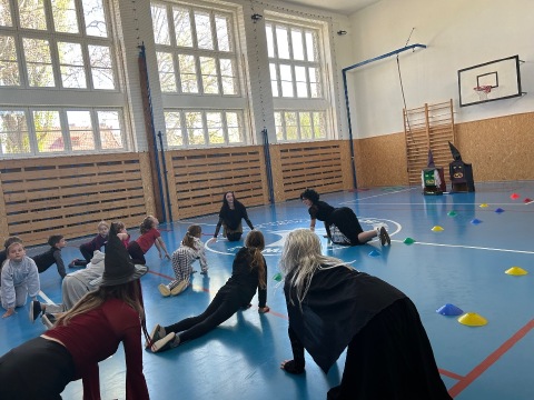 Obrázek v galerii