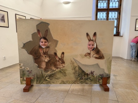 Obrázek v galerii