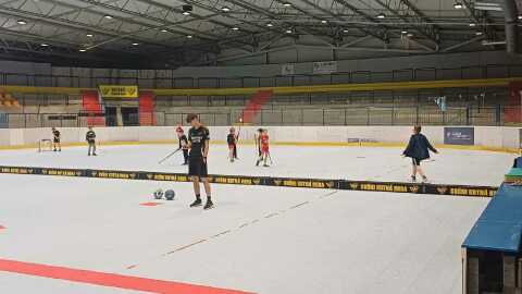 Obrázek v galerii