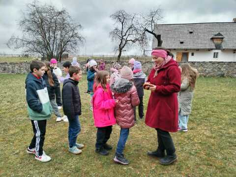 Obrázek v galerii