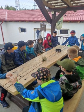 Obrázek v galerii
