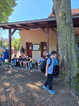 Obrázek v galerii