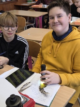 Obrázek v galerii